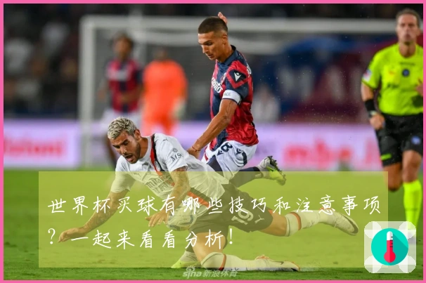 世界杯买球有哪些技巧和注意事项？一起来看看分析！