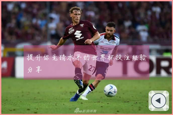 提升你竞猜水平的世界杯投注经验分享