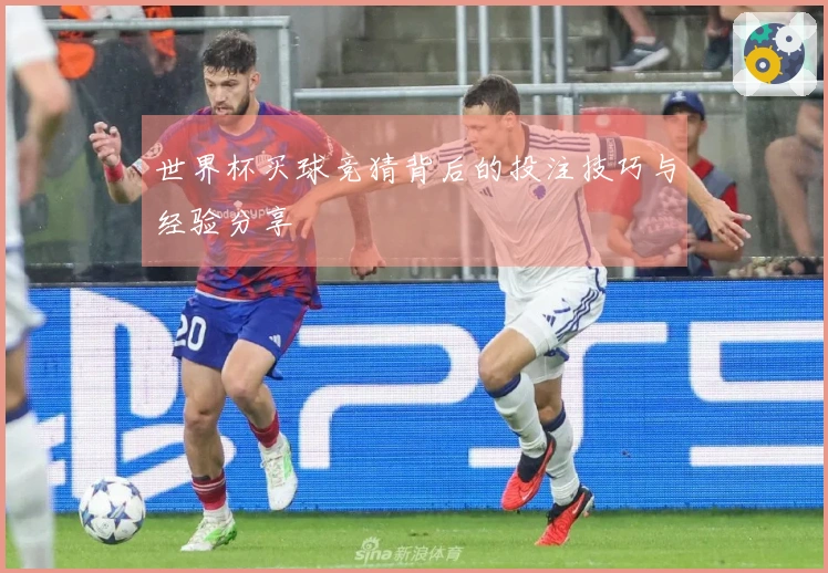 世界杯买球竞猜背后的投注技巧与经验分享