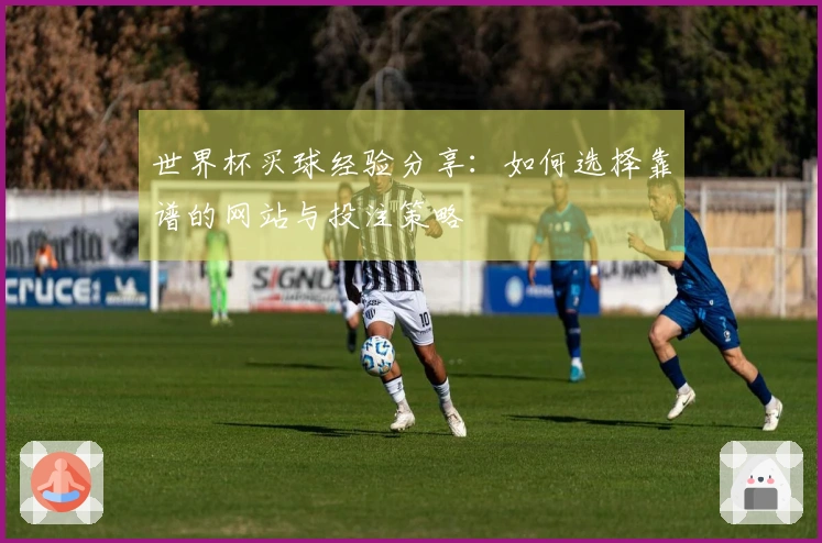 世界杯买球经验分享：如何选择靠谱的网站与投注策略