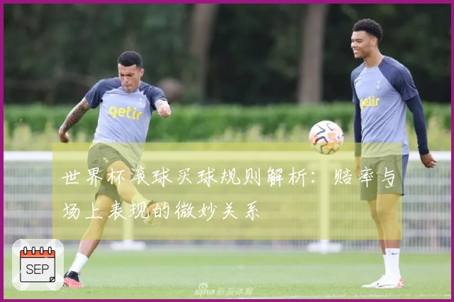世界杯滚球买球规则解析：赔率与场上表现的微妙关系