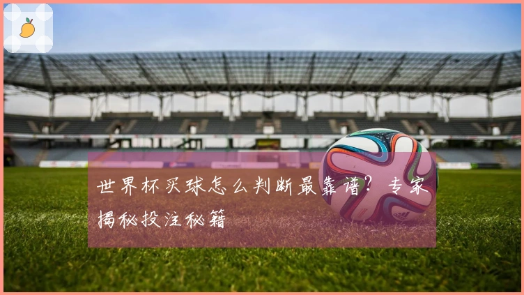 世界杯买球怎么判断最靠谱？专家揭秘投注秘籍