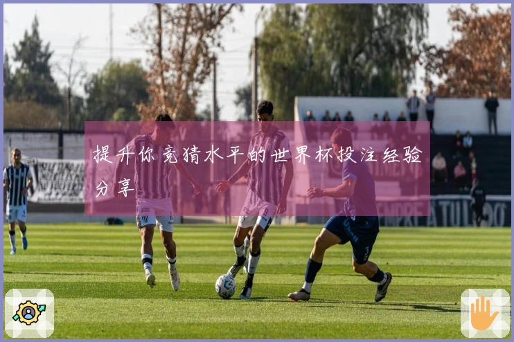 提升你竞猜水平的世界杯投注经验分享